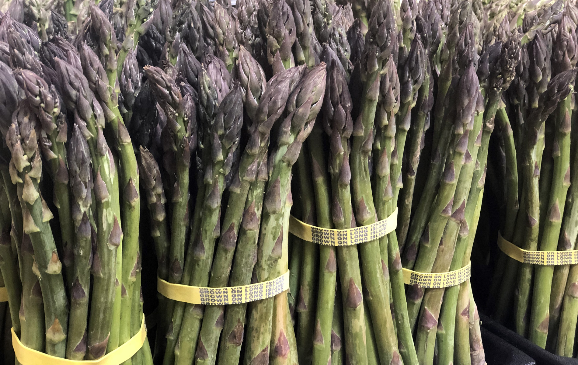 Local Asparagus Hits the East End - Hapco Farms